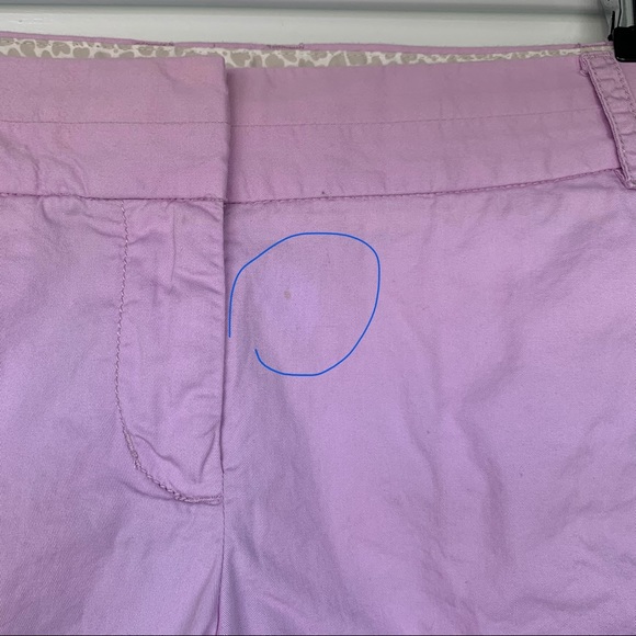 •J.Crew• Broken In Chino Lavender Shorts - Size 2 - Picture 7 of 8